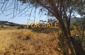 10121, 2,000 square meters of land in Apati - Lefkes