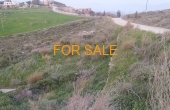 14005, 8,000 square meters on land in Lefkes