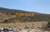 13010, Mountain for sale in Aneratza