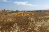 13011, Amazing 5,200 square meter land in Xifara.... 600 meters from the beach, and 10 minutes from Naoussa!
