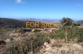 15032, 8,700 square meter land at Aneratza - with well and stream