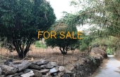 1808, Land opportunity in the heart of Lefkes!  A rare find