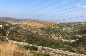 2011, 11 acres nestled in the mountain hills of Lefkes.